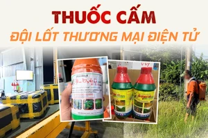  thương mại điện tử, thuốc cấm, nhập lậu, Campuchia