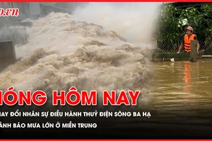 Thuỷ điện Sông Ba Hạ, nhân sự tạm thời, điều hành