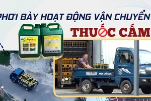 thùng hàng đen, thuốc bảo vệ thực vật bị cấm, Tây Ninh
