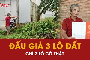 Quảng ngãi, đấu giá, lô đất