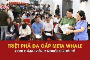 đa cấp, triệt phá, Meta Whale, an ninh