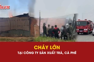 cháy, cháy lớn, cà phê, Lâm Đồng, 