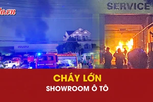 Cháy, Showroom, ô tô, Lê Quang Đạo