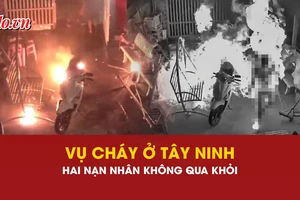 cháy, Tây Ninh, cận cảnh vụ cháy, 