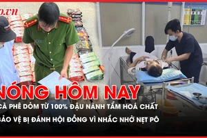 cà phê, đậu nành, Nóng hôm nay
