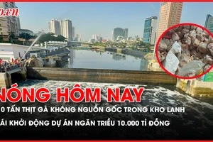 thịt gà không nguồn gốc, dự án ngăn triều, bồi thường chuyến bay chậm, 