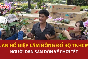 lan hồ điệp, công viên, Lâm Đồng