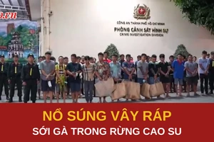 Tiếng súng chỉ thiên vây ráp sới gà trong rừng cao su