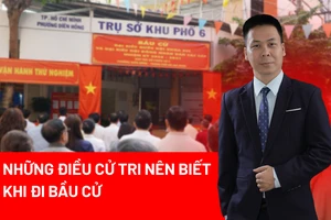 bầu cử,, cử tri, bỏ phiếu, 