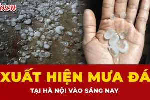 Cận cảnh mưa đá xuất hiện tại Hà Nội vào sáng sớm