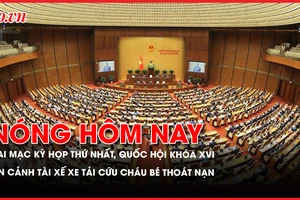 Kỳ họp thứ Nhất, Quốc hội khóa XVI, tổ chức bộ máy