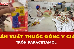 thuốc đông y giả, sản xuất, trộn Paracetamol