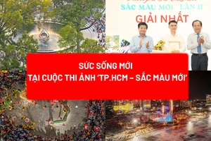 TP.HCM sắc màu mới, Tống Trần Sơn, Báo Pháp Luật TP.HCM