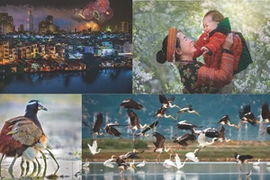 Hội Nhiếp ảnh TP.HCM, mùa xuân, trao giải, ảnh, xuân bính ngọ