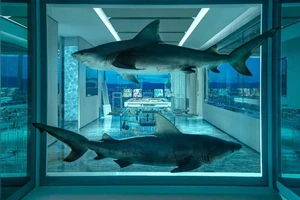 Tốp 5 phòng khách sạn đắt nhất thế giới 