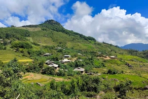 Nao lòng với ruộng bậc thang bản Hồng Mú ở Bắc Kạn