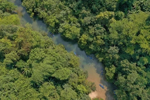 Vườn quốc gia Phong Nha-Kẻ Bàng đẹp quên lối về