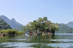 Vườn quốc gia Ba Bể: Viên ngọc lục bảo của núi rừng Đông Bắc