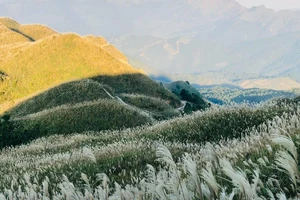 Trải nghiệm hấp dẫn cho hội mê 'xê dịch' tại Bình Liêu, Quảng Ninh