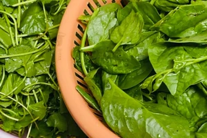 Ăn những thực phẩm này rất tốt cho sức khỏe nội tiết tố