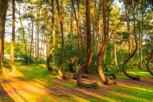 Những địa điểm du lịch bí ẩn nhất thế giới 