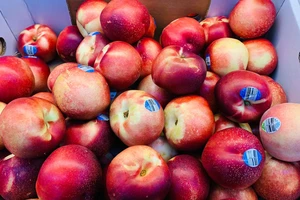 Mùa tết muốn khỏe đẹp thì hãy loại ăn trái này