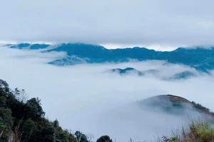 Lên ‘sống lưng khủng long’ để ôm mây - đón gió ở Tà Xùa