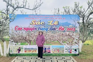 Đắm say với sắc trắng hoa lê Bắc Hà, Lào Cai