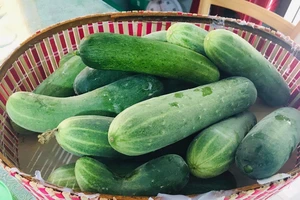 10 loại thực phẩm giúp cung cấp nước cho cơ thể tốt nhất