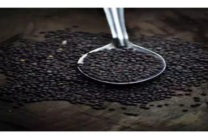 Những lợi ích sức khỏe tuyệt vời khi ăn hạt mù tạt không phải ai cũng biết