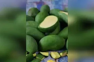 Loại trái cây dễ tìm rất tốt cho tim mạch và giúp cơ thể tăng cường miễn dịch 