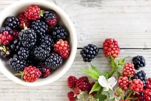 Những loại thực phẩm tốt cho người bị viêm khớp