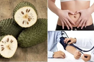 Bất ngờ với những lợi ích sức khỏe khi ăn mãng cầu xiêm 