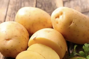 Loại rau củ giúp giảm cân rất tốt nhưng ít người biết đến