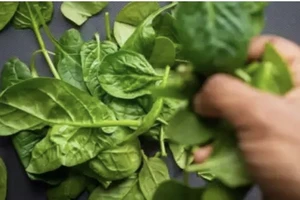 Ăn các loại thực phẩm này giúp bạn tăng cường hệ thống miễn dịch