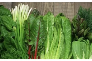 10 loại thực phẩm có thể giúp kiểm soát bệnh loãng xương