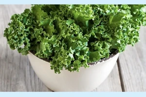 Đây là điều sẽ xảy ra nếu bạn ăn cải xoăn mỗi ngày