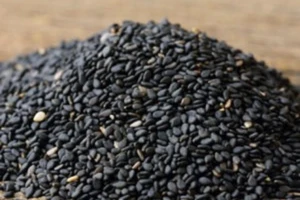 Loại hạt khi ăn sẽ giúp tăng cường khả năng miễn dịch