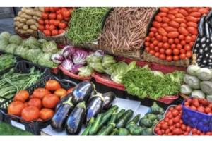 Làm thế nào để phát hiện rau bị ô nhiễm kim loại