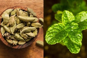 Đây là thực phẩm giúp giảm tình trạng say tàu xe