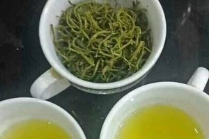 Điều gì xảy ra với cơ thể khi bạn uống trà xanh