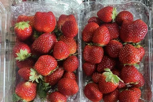 10 siêu thực phẩm có thể giúp đốt cháy chất béo cứng đầu