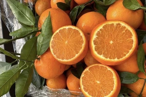 Ăn 5 loại trái cây này để thận luôn khỏe mạnh