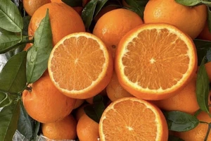 Tăng cường canxi bằng những thực phẩm này không phải từ sữa