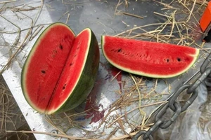 10 đồ uống lành mạnh giúp cấp nước cho cơ thể trong mùa nóng