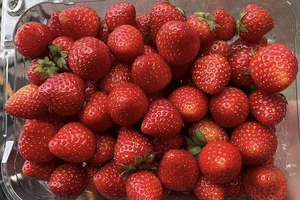 Bổ sung 9 loại thực phẩm này vào chế độ ăn uống để bảo vệ da khỏi bị cháy nắng