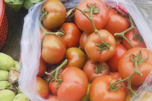 12 tác hại của việc ăn cà chua quá nhiều