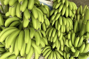 Giúp giảm mức độ căng thẳng bằng những thực phẩm này