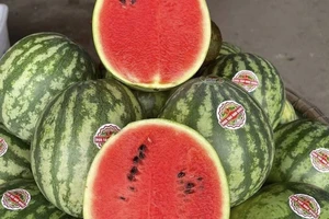 10 loại thực phẩm mùa hè có thể giúp cho phổi khỏe mạnh