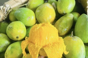 Ăn bao nhiêu quả xoài trong một ngày để tránh tăng cân và tăng đường đường trong máu?